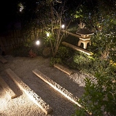 店内には風情ある日本庭園がございます。都会の喧騒を忘れさせてくれるような落ち着いた空間で、ゆったりと食事をお楽しみいただけます。美しい庭園を眺めながら、旬の食材を活かした料理をぜひご堪能ください。