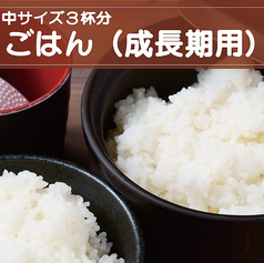 ごはん（成長期）