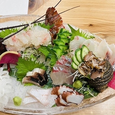 旬膳 だるま特集写真1