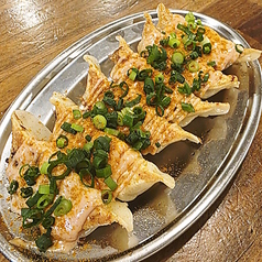 カレー風味のネギマヨ餃子