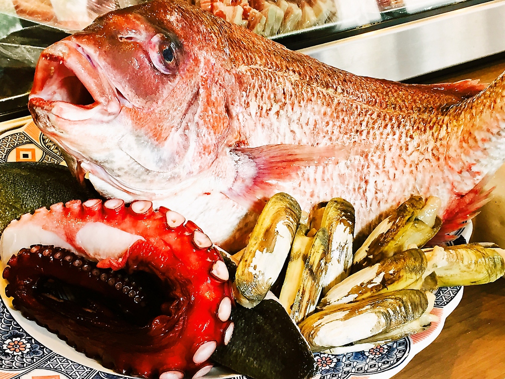 新鮮なお魚もご用意しております!!