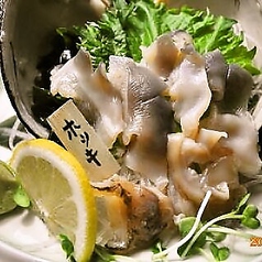 活ホッキ貝　　　　　　鮮度に自信あり[Surf Clam]