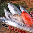 毎朝市場に足を運び仕入れる新鮮な魚介類。旬や産地にこだわり抜いた食材を使用しています。【大阪・新世界・串かつ・食べ放題・飲み放題・観光・デート】