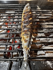 《期間限定・数量限定》新さんま