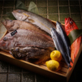 料理メニュー写真&nbsp;高知県産の朝獲れ鮮魚をお好きな召し上がり方で調理いたします