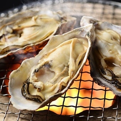 海鮮炉端 将のコース写真