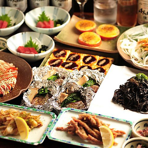 たぬき raccoondog