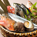 ≪旬食材のお料理を堪能≫「ジンベエ」が厳選した新鮮お魚＆貝を存分に味わってください。新鮮お魚のお造りは、見た目も華やか＆鮮度バツグン。柔らかな食感と、魚肉特有のほのかな甘みをお楽しみ下さいませ。その他、新鮮食材を使用したコース料理も多数揃えております。