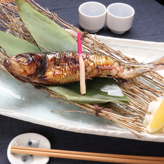 【宮城県女川産】大トロイワシ