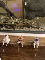 瀬戸内特産!活けわたりがに