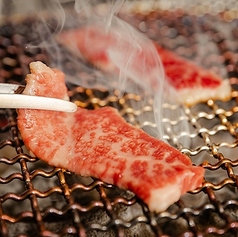 炭火焼肉　肉の匠　ひうちの特集写真