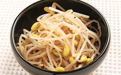 豆もやし