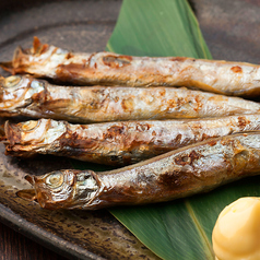 《北海道産》本ししゃもの塩焼き