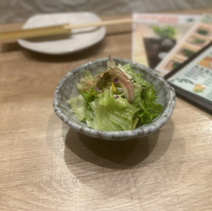 三種レタスの浅漬け