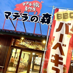 マテラの森の特集写真