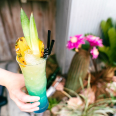 スパイス居酒屋　seeds　成田特集写真1