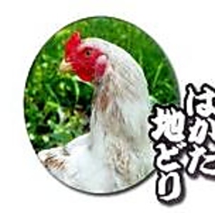 九州料理 縁 船橋店のおすすめ料理2