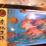生簀から新鮮なぷりっぷりのお魚をお出しします♪