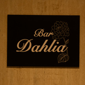 Dahlia ダリアの雰囲気3