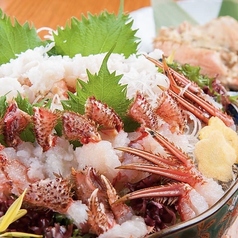 掌 てのひらの特集写真