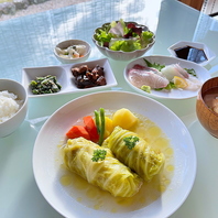 季節メニュー;  ロールキャベツとお刺身ランチ