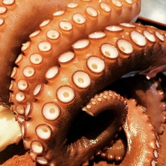 下津井港直送！の新鮮な瀬戸内の魚介をご堪能ください