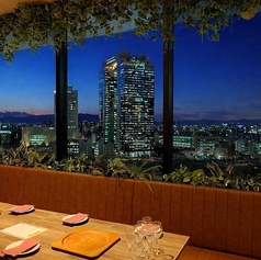 セルベサ ジャパン ルクア大阪の特集写真