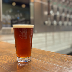 <代々木アンバーエール> YOYOGI Amber Ale（Regular）