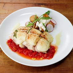 鶏モモ肉のイタリアンステーキ 特製トマトソース [200g]