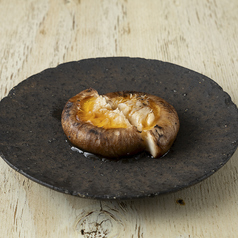 おい！しいたけ