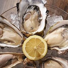 オイスタの写真3