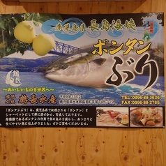 鶴長の写真2
