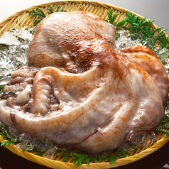 《稚内・利尻・留萌》ミズダコ刺身