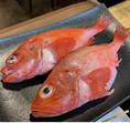新鮮なお魚をリーズナブルな価格でご提供!!