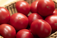 妥協を許さないオーナーの仕入れ方法