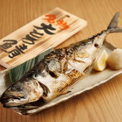 まるごと1匹特大とろさば