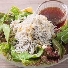 朝どれしらすのMt.fujiサラダ