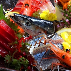 炙り旬 あぶりしゅん 札幌 狸小路駅前店のコース写真