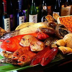 新鮮な魚介類と地酒専門店 魚武の特集写真