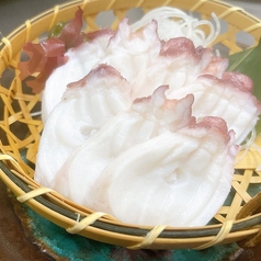 日高産 真たこ