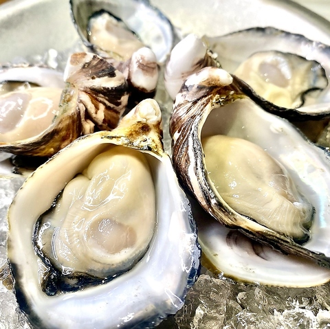 【東京UMAMIイタリアン】大門駅・浜松町駅・飲み放題・牡蠣・肉・ワイン・HAPPYHOUR