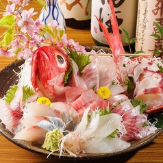 居酒屋 茶々丸 宇都宮のおすすめ料理1