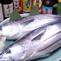 仕入れにこだわる新鮮な魚介類をご堪能あれ☆