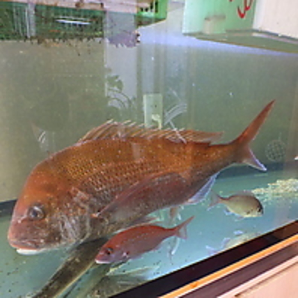 地産地消に力を入れている当店は、新鮮な魚介、小倉名物もたくさんご提供！ご旅行の際などにも◎