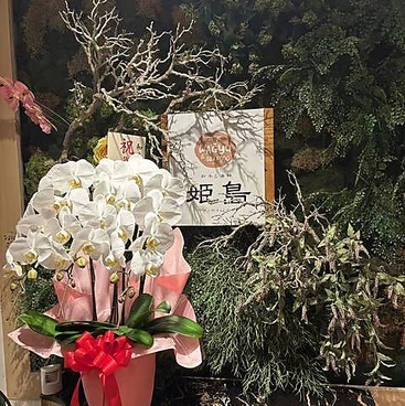 和牛と海鮮 HIMEJIMA 姫島の雰囲気1