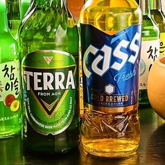 テラビール(500ml)