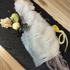 檜山産ヤリイカ刺身