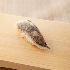 季節の握り寿司　炙りカマス握り　1貫