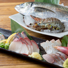 魚と日本酒 豆魚のコース写真