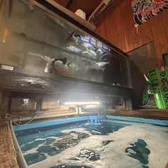 江島流やきとり道場 浜口本店のおすすめ料理3